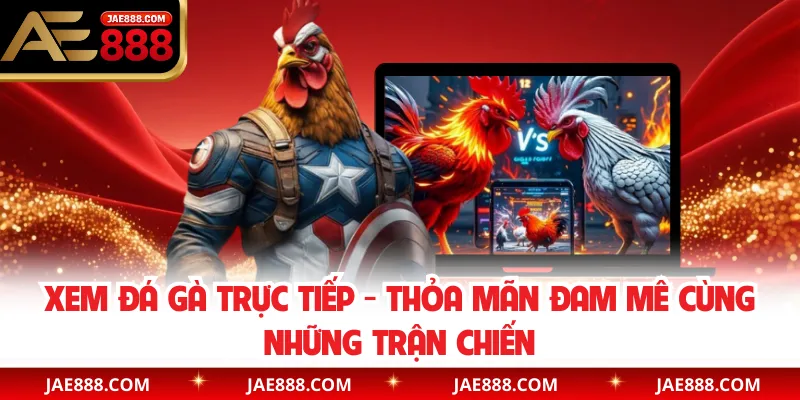 Xem Đá Gà Trực Tiếp - Thỏa Mãn Đam Mê Cùng Những Trận Chiến